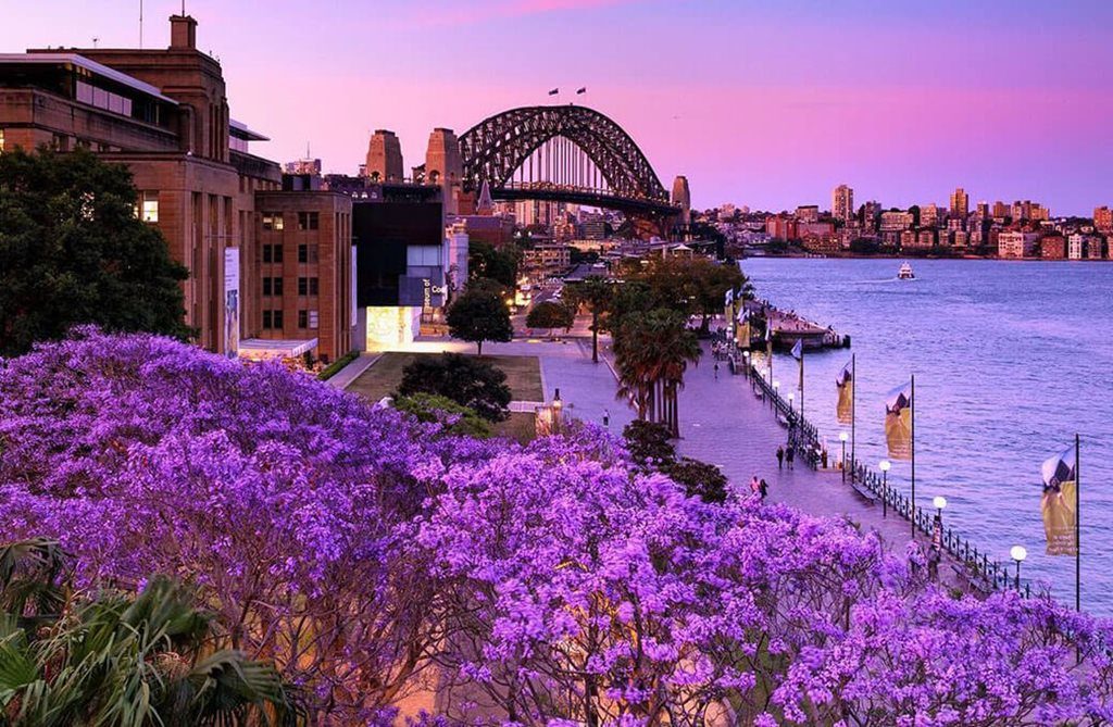 Things To Do In The Rocks, Sydney | Jason Ree Design