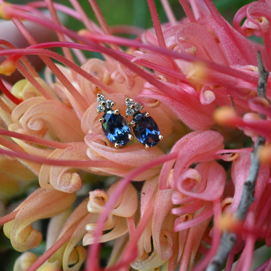 ’Trinity’ 1.01cts Australian Teal Sapphire & Diamond Yellow Gold Earrings Earrings Jason Ree Design