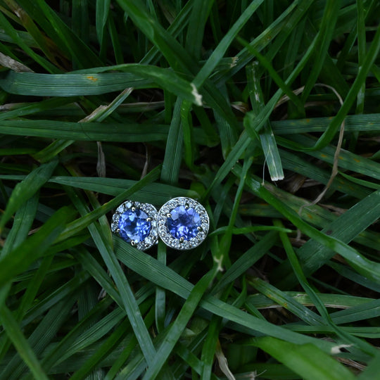 ‘Angelica’ Tanzanite & Diamond Halo White Gold Earrings Earrings Jason Ree Design