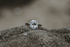 The Art of Sapphire Jewellery Gifting