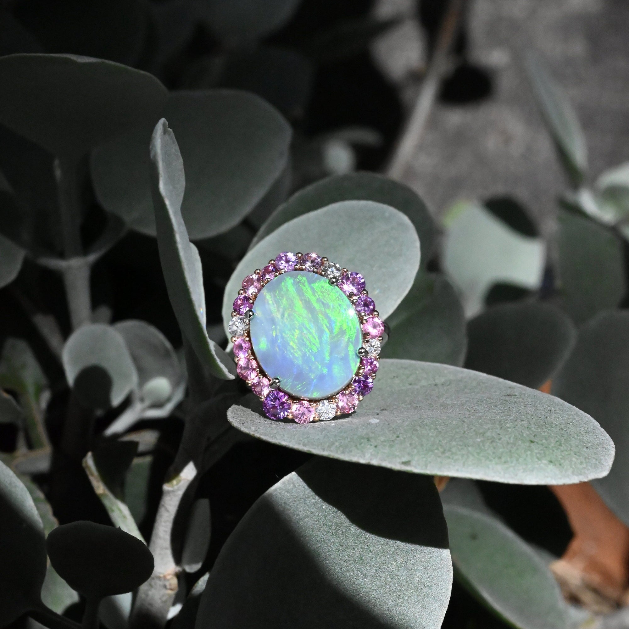 ‘Manuka Flower’ 5ct Black Opal, Purple Sapphire &amp; Diamond Platinum Ring Ring Jason Ree Design 