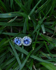 ‘Angelica’ Tanzanite & Diamond Halo White Gold Earrings Earrings Jason Ree Design 