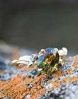 Asymmetrical 'Gumleaf' Australian Parti Sapphire ring Ring Jason Ree Design 